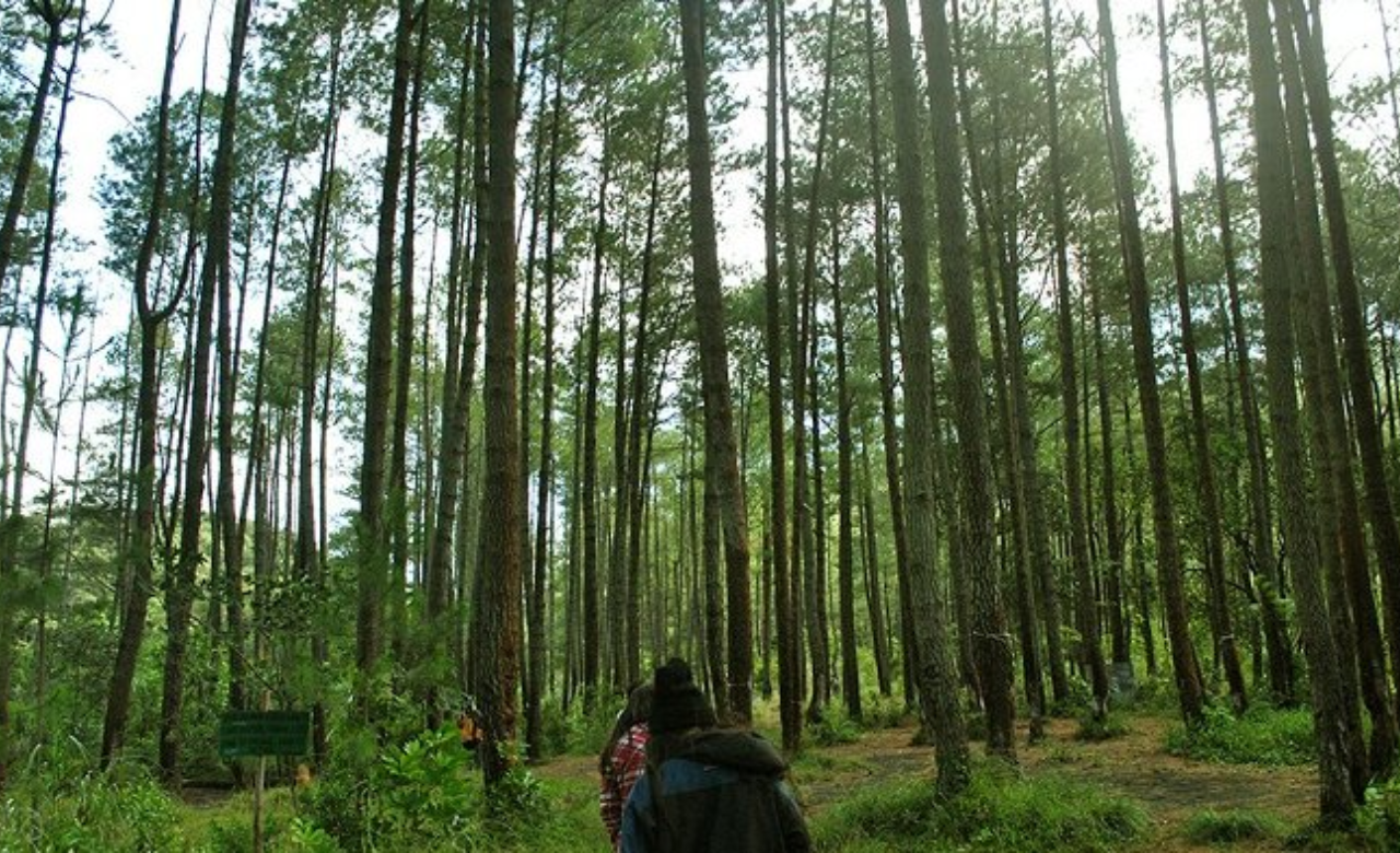 Tempat Wisata Di Manado Paling Ikonik Dan Tempat Hits Lainnya Indotimes