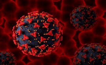 Masyarakat Wajib Tahu, Serupa dengan Covid Lainnya: Apa Saja Gejala Awal Covid XBB?