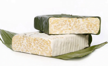Tempeh Jadi Google Doodle Hari Ini: Simak Sejarah Dan Manfaatnya Bagi Kesehatan!
