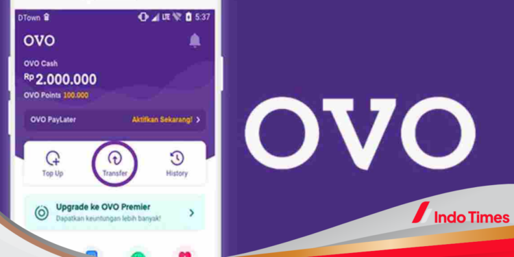 Bongkar Habis OVO, dari Sejarah Hingga Kelebihan dan Kekurangannya di sini! 1 Bongkar Habis OVO, dari Sejarah Hingga Kelebihan dan Kekurangannya di sini!