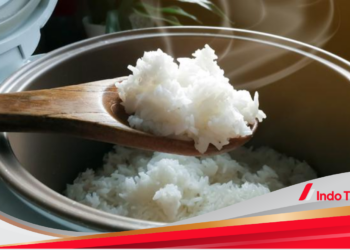 Rencana 680.000 unit Rice Cooker Gratis dari Pemerintah untuk Masyarakat Indonesia