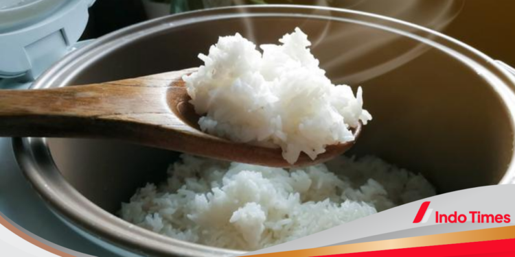 Rencana 680.000 unit Rice Cooker Gratis dari Pemerintah untuk Masyarakat Indonesia 1 Rencana 680.000 unit Rice Cooker Gratis dari Pemerintah untuk Masyarakat Indonesia