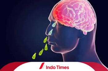 Amoeba Pemakan Otak: Cara Masuk, Masa Inkubasi dan 10 Fakta yang Wajib Diketahui