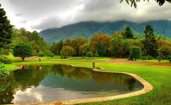 Cek Rekomendasi Terbaik Tempat Wisata di Puncak di sini!