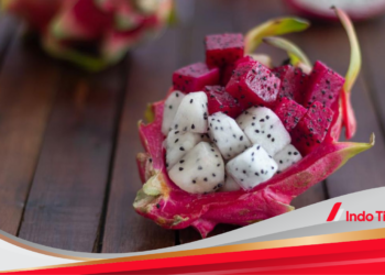 40 Manfaat Buah Naga untuk Kesehatan dan Kecantikan