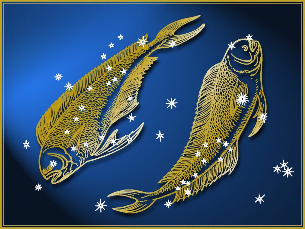 259306 1600x1200 pisces animal sign