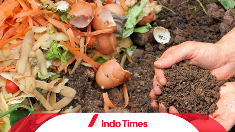 Cara Mengolah Sampah Organik Agar Lebih Bermanfaat dan Bebas Bau