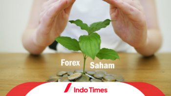Forex versus Saham, Mana Lebih Menguntungkan?