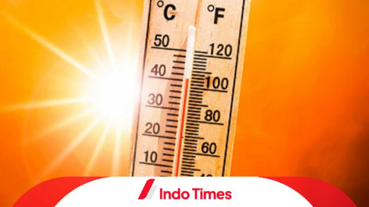 Ancaman Serius! Gelombang Panas Afrika Selatan Tewaskan 8 Orang Sekaligus 1 Ancaman Serius! Gelombang Panas Afrika Selatan Tewaskan 8 Orang Sekaligus