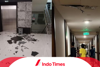 Gempa Jayapura Magnitudo 4,9 Guncang Papua di Awal Tahun, BMKG: 50 Gempa Susulan