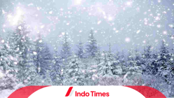 Bukan Suhu, Proses Terbentuknya Salju Juga Dipengaruhi Faktor Ini