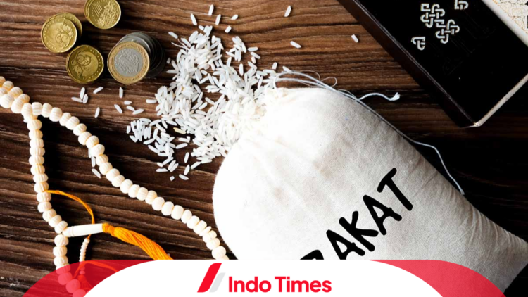 Kemenag Rilis Daftar Lembaga Zakat Tak Berizin Kemenag, Hindari untuk Keamanan Pengelolaan Zakat