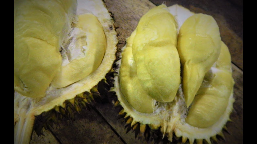 Oleh-oleh Khas Majalengka || Durian Perwira