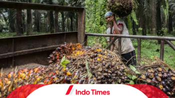 Resmi! Penerapan BBM Campur Sawit 35 Persen Dimulai Besok