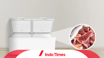 10 Rekomendasi Merek Freezer Mini untuk Daging Paling Best Seller