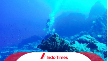 Heboh Temuan Gunung Bawah Laut Pacitan, Tingginya Capai 2300 Meter!