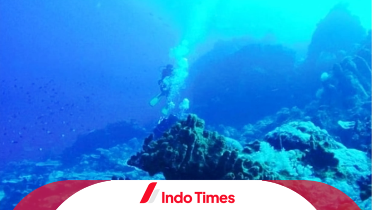 Heboh Temuan Gunung Bawah Laut Pacitan, Tingginya Capai 2300 Meter! 1 Heboh Temuan Gunung Bawah Laut Pacitan, Tingginya Capai 2300 Meter!