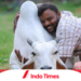 Heboh Hari Peluk Sapi Ganti Tradisi Valentine India, Dianggap Penting bagi Mental Health 3 Heboh Hari Peluk Sapi Ganti Tradisi Valentine India, Dianggap Penting bagi Mental Health
