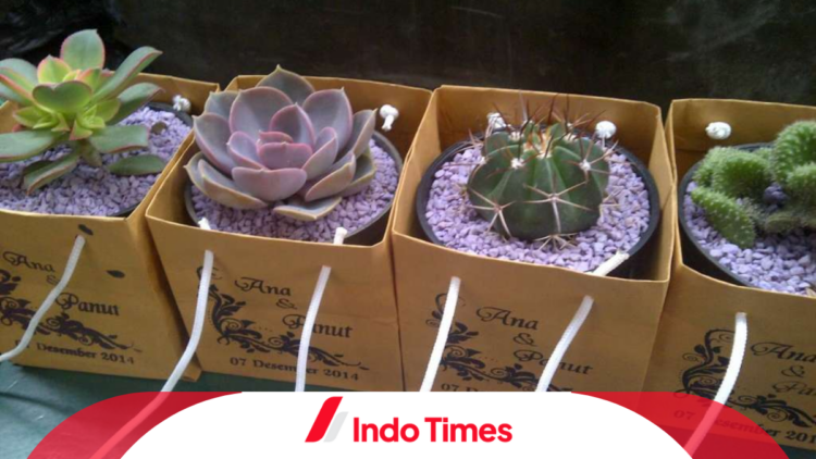 Sangat Berguna, Ini Dia 10 Rekomendasi Ide Souvenir Pernikahan Murah dan Unik yang Jarang Ditemui