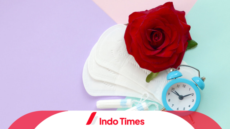 Pembalut yang Aman dan Tanpa Klorin: 10 Merk Recomended Ini Aman Bagi Para Wanita! 1 Pembalut yang Aman dan Tanpa Klorin: 10 Merk Recomended Ini Aman Bagi Para Wanita!