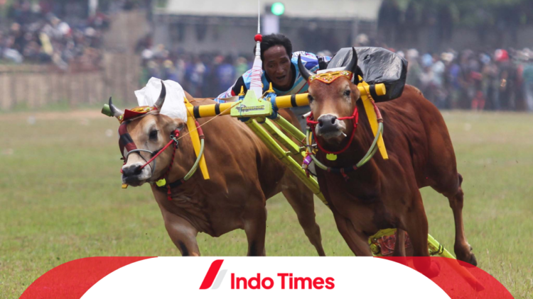 Viral Rumah 6 Miliar untuk Sapi, Ada Ruangan Khusus di Dalamnya 1 Viral Rumah 6 Miliar untuk Sapi, Ada Ruangan Khusus di Dalamnya