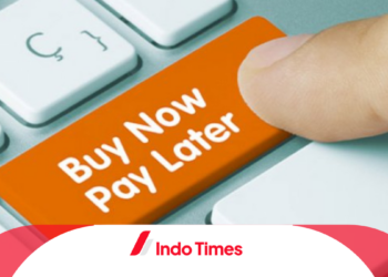 5 Cara Mengelola Paylater Agar Lebih Produktif Dan Cuan