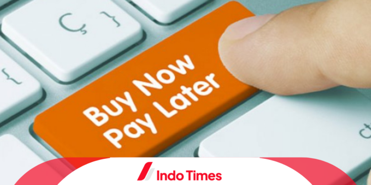 5 Cara Mengelola Paylater Agar Lebih Produktif Dan Cuan