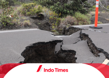 Informasi Terkini! Gempa Bumi Maluku Tengah Magnitudo 3,7 SR
