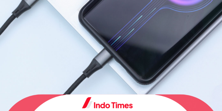 10 Rekomendasi Merk Kabel USB Type C Terbaik dan Paling Awet Penggunaannya 1 10 Rekomendasi Merk Kabel USB Type C Terbaik dan Paling Awet Penggunaannya