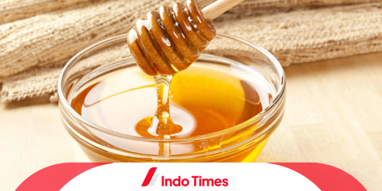 Siap-Siap Sehat! Ini 10 Madu Hutan Asli Terbaik di Indonesia Paling Recommended 1 Siap-Siap Sehat! Ini 10 Madu Hutan Asli Terbaik di Indonesia Paling Recommended