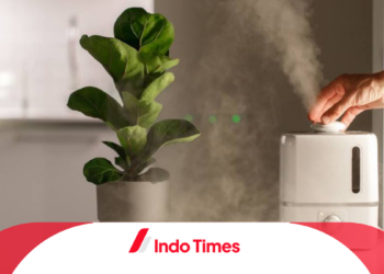 Dibanderol Mulai Rp80 Ribuan! Yuk, Intip Merk Humidifier Terbaik yang Banyak Diincar