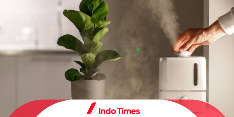 Dibanderol Mulai Rp80 Ribuan! Yuk, Intip Merk Humidifier Terbaik yang Banyak Diincar