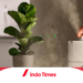Dibanderol Mulai Rp80 Ribuan! Yuk, Intip Merk Humidifier Terbaik yang Banyak Diincar 3 Dibanderol Mulai Rp80 Ribuan! Yuk, Intip Merk Humidifier Terbaik yang Banyak Diincar