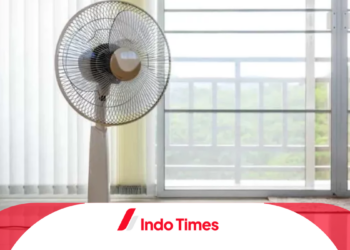 Ruangan Makin Sejuk dengan 10 Rekomendasi Merk Kipas Angin Terbaik dari Harga Murah Hingga Mahal
