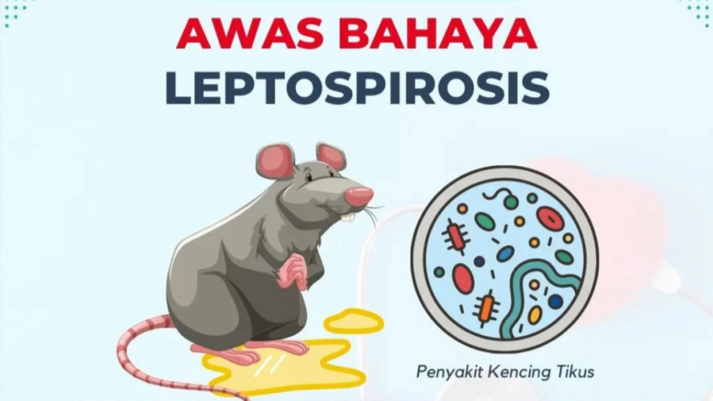 Penderita Leptospirosis di Kabupaten Pacitan meningkat