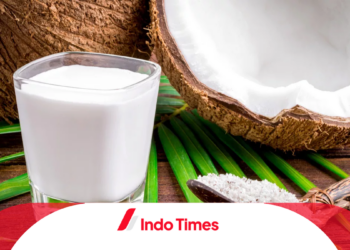 10 Santan Terbaik Untuk MPASI, Lezat Dan Aman Bagi Si Kecil