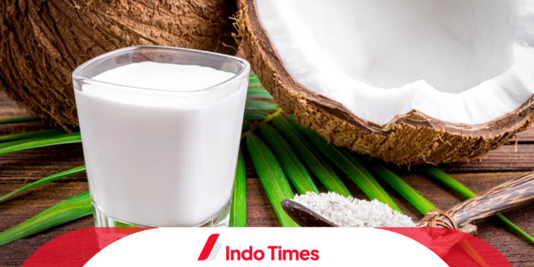 10 Santan Terbaik Untuk MPASI, Lezat Dan Aman Bagi Si Kecil 1 10 Santan Terbaik Untuk MPASI, Lezat Dan Aman Bagi Si Kecil