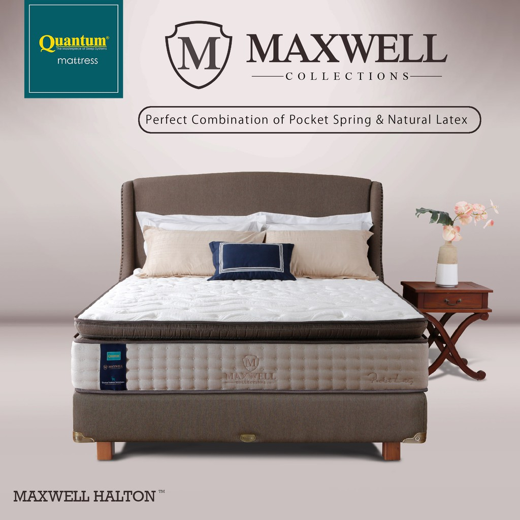 Maxwell Halton Pocket Latex Pillowtop  || Merk Springbed yang Bagus 
