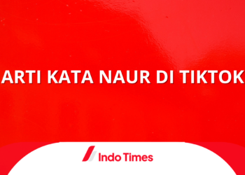 Arti Kata Naur di Tiktok, Istilah Slang yang Harus Digunakan dengan Bijak