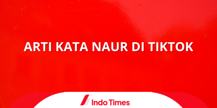 Arti Kata Naur di Tiktok, Istilah Slang yang Harus Digunakan dengan Bijak 1 Arti Kata Naur di Tiktok, Istilah Slang yang Harus Digunakan dengan Bijak