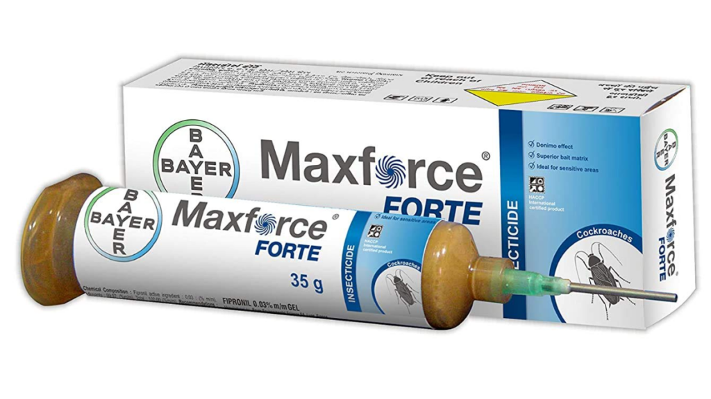 Bayer Maxforce Forte | Pembasmi Kecoa Paling Ampuh