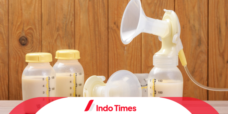 10 Rekomendasi Merk Pompa ASI Terbaik Agar Lebih Nyaman. Jangan Asal Pilih! 1 10 Rekomendasi Merk Pompa ASI Terbaik Agar Lebih Nyaman. Jangan Asal Pilih!