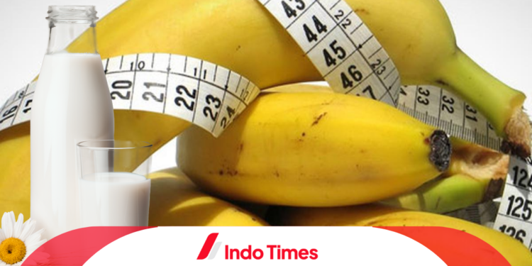 10 Rekomendasi Merk Susu Pisang yang Enak, Lezat dan Bergizi Tinggi 1 10 Rekomendasi Merk Susu Pisang yang Enak, Lezat dan Bergizi Tinggi