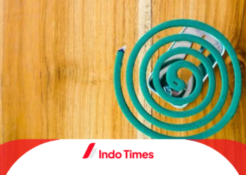 10 Rekomendasi Obat Nyamuk yang Ampuh dan Aman untuk Tidur Nyenyak Sepanjang Malam