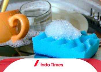 Bikin Kinclong, Cek 10 Rekomendasi Sabun Cuci Piring Terbaik Andalan Ibu Rumah Tangga