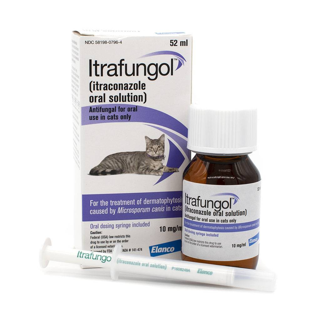 Itrafungol Oral Solution for Cats || merk obat jamur kucing