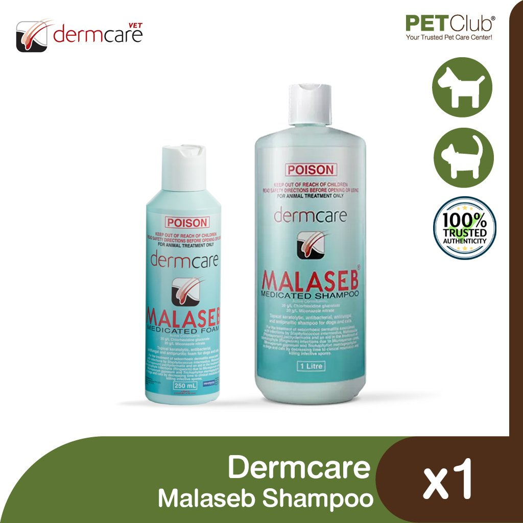 Dermacare-Vet Malaseb Medicated Shampoo || merk obat jamur kucing