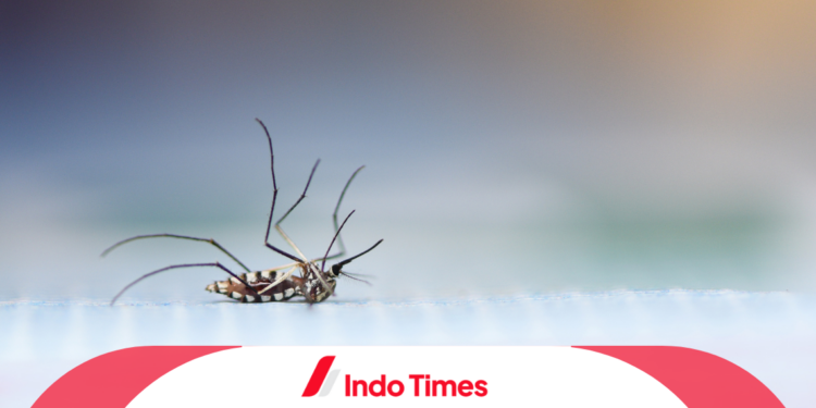 10 Rekomendasi Alat Perangkap dan Pengusir Nyamuk Terbaik, Agar Tidur Nyenyak Sepanjang Malam 1 10 Rekomendasi Alat Perangkap dan Pengusir Nyamuk Terbaik, Agar Tidur Nyenyak Sepanjang Malam