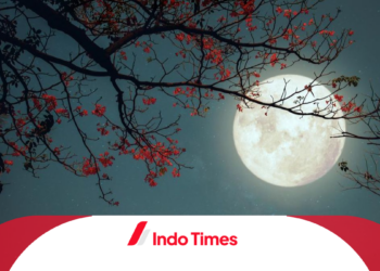 Arti The Moon Is Beautiful Isnt It dan Maknanya yang Mendalam