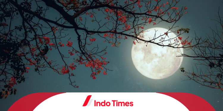 Arti The Moon Is Beautiful Isnt It dan Maknanya yang Mendalam 1 Arti The Moon Is Beautiful Isnt It dan Maknanya yang Mendalam